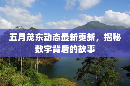 五月茂東動態最新更新，揭秘數字背后的故事