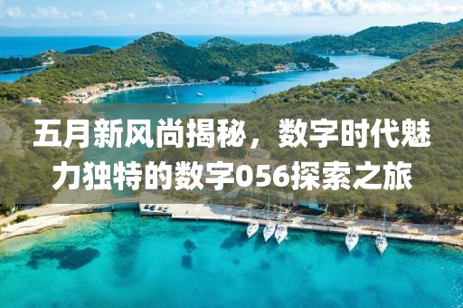 五月新風尚揭秘，數字時代魅力獨特的數字056探索之旅