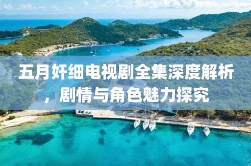 五月奸細電視劇全集深度解析，劇情與角色魅力探究