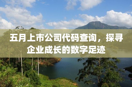 五月上市公司代碼查詢，探尋企業成長的數字足跡