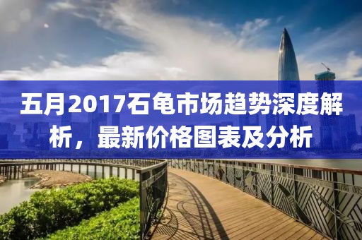 五月2017石龜市場趨勢深度解析，最新價格圖表及分析