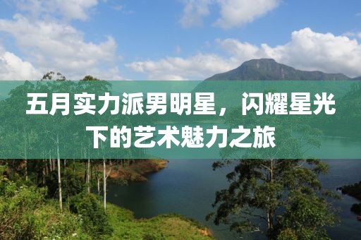 五月實力派男明星，閃耀星光下的藝術魅力之旅