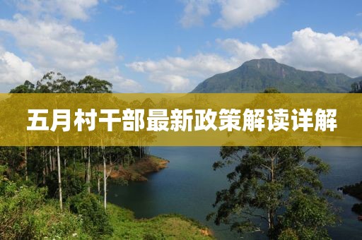 五月村干部最新政策解讀詳解