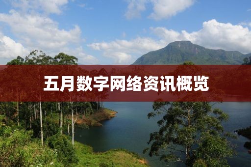 五月數字網絡資訊概覽