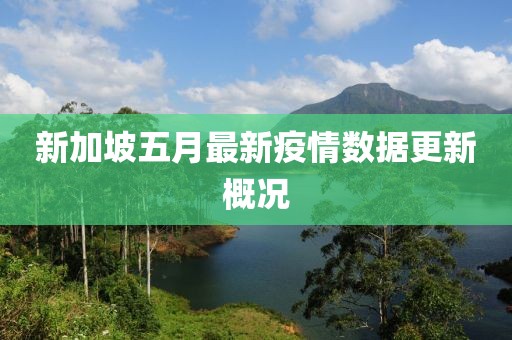 新加坡五月最新疫情數據更新概況