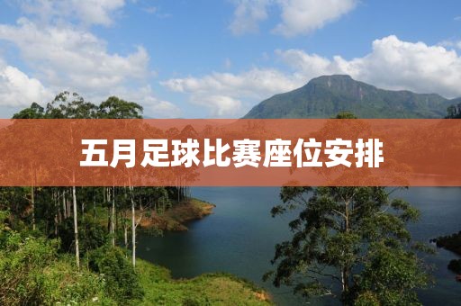 五月足球比賽座位安排