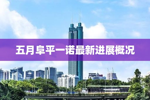 五月阜平一諾最新進展概況