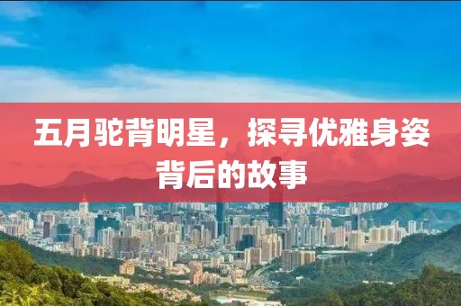 五月駝背明星，探尋優雅身姿背后的故事