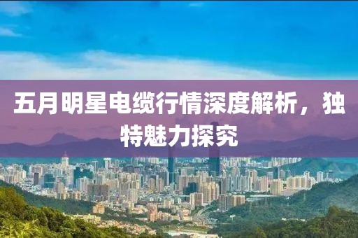 五月明星電纜行情深度解析，獨特魅力探究