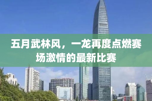 五月武林風，一龍再度點燃賽場激情的最新比賽