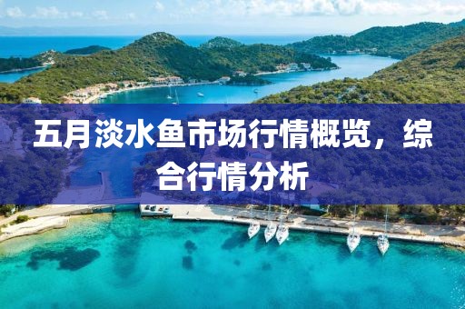 五月淡水魚市場行情概覽，綜合行情分析