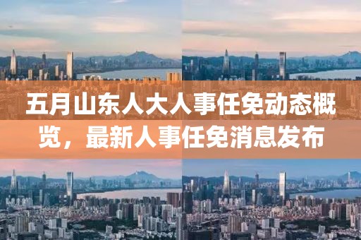 五月山東人大人事任免動態概覽，最新人事任免消息發布
