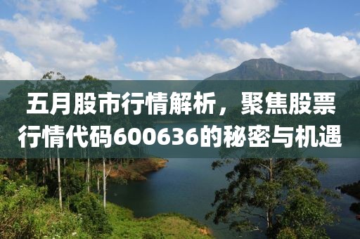 五月股市行情解析，聚焦股票行情代碼600636的秘密與機遇