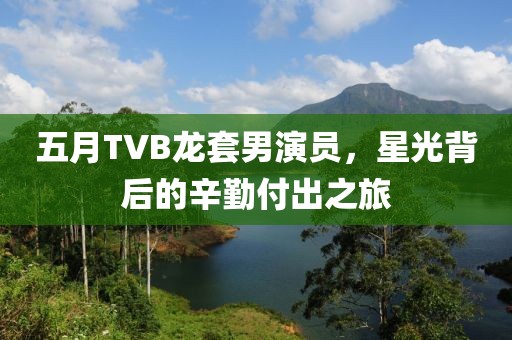 五月TVB龍套男演員，星光背后的辛勤付出之旅
