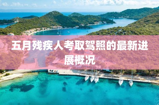 五月殘疾人考取駕照的最新進展概況