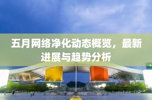 五月網絡凈化動態概覽，最新進展與趨勢分析