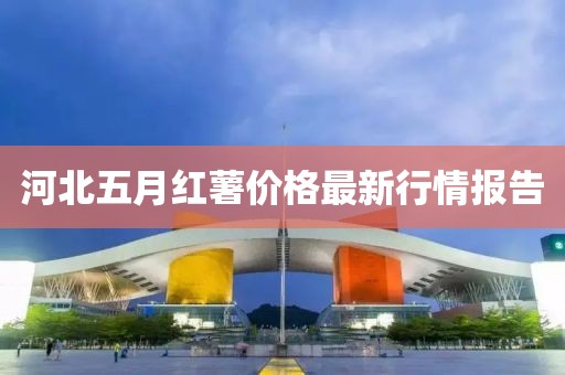 河北五月紅薯價格最新行情報告