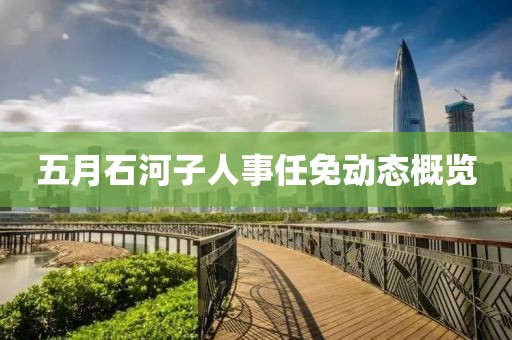 五月石河子人事任免動態概覽
