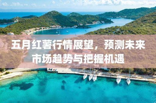 五月紅薯行情展望，預測未來市場趨勢與把握機遇