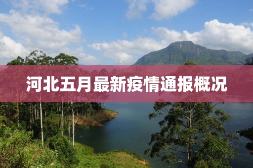 河北五月最新疫情通報概況