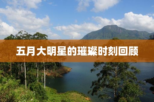 五月大明星的璀璨時刻回顧