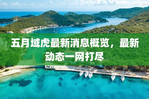 五月域虎最新消息概覽，最新動態一網打盡