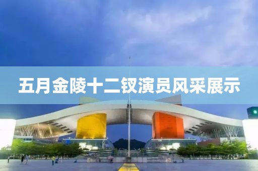 五月金陵十二釵演員風采展示