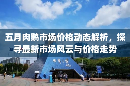 五月肉鵝市場價格動態解析，探尋最新市場風云與價格走勢