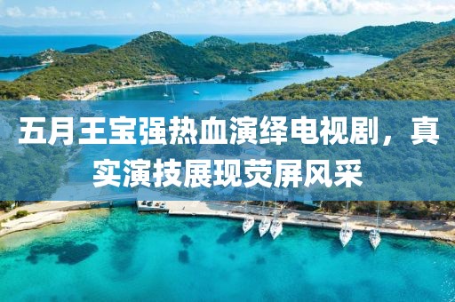 五月王寶強熱血演繹電視劇，真實演技展現熒屏風采
