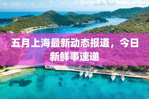 五月上海最新動態報道，今日新鮮事速遞