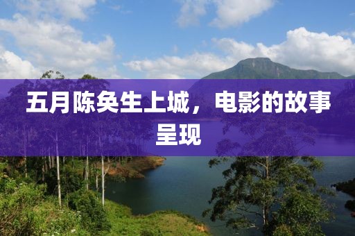 五月陳奐生上城，電影的故事呈現