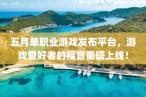五月單職業游戲發布平臺，游戲愛好者的福音重磅上線！