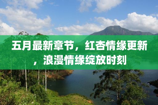 五月最新章節，紅杏情緣更新，浪漫情緣綻放時刻