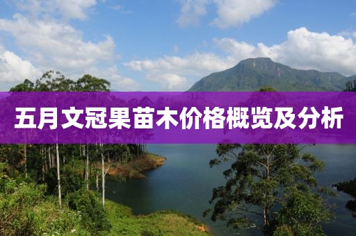 五月文冠果苗木價格概覽及分析