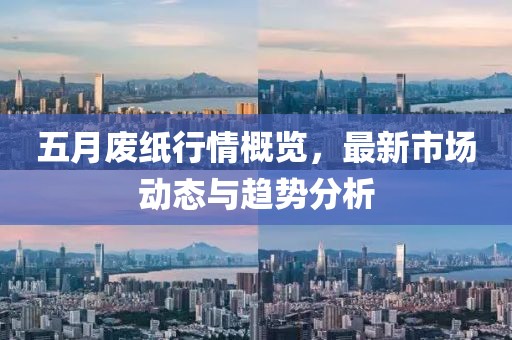 五月廢紙行情概覽，最新市場動態與趨勢分析