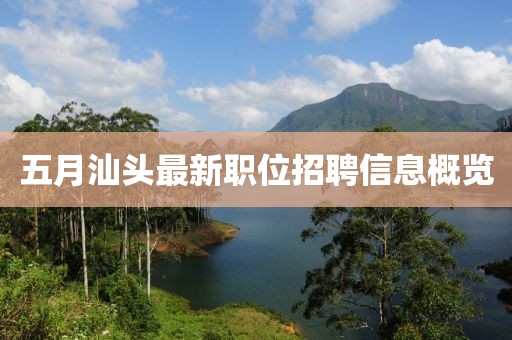 五月汕頭最新職位招聘信息概覽
