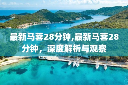 最新馬蓉28分鐘,最新馬蓉28分鐘，深度解析與觀察