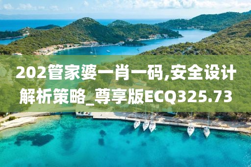 202管家婆一肖一碼,安全設計解析策略_尊享版ECQ325.73