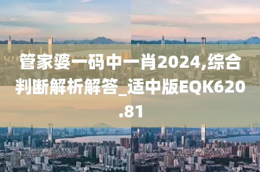 管家婆一碼中一肖2024,綜合判斷解析解答_適中版EQK620.81