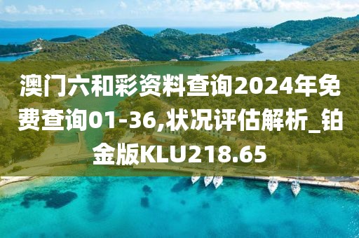澳門六和彩資料查詢2024年免費查詢01-36,狀況評估解析_鉑金版KLU218.65