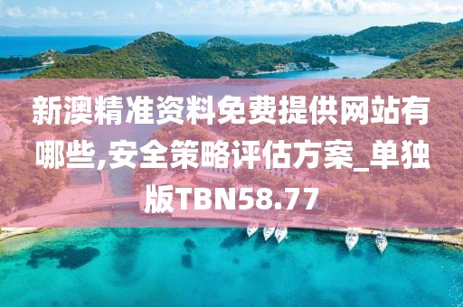 新澳精準資料免費提供網站有哪些,安全策略評估方案_單獨版TBN58.77