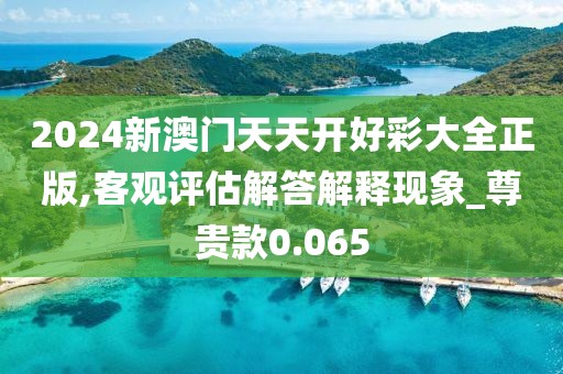 2024新澳門天天開好彩大全正版,客觀評估解答解釋現象_尊貴款0.065