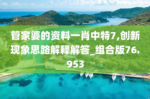 管家婆的資料一肖中特7,創新現象思路解釋解答_組合版76.953