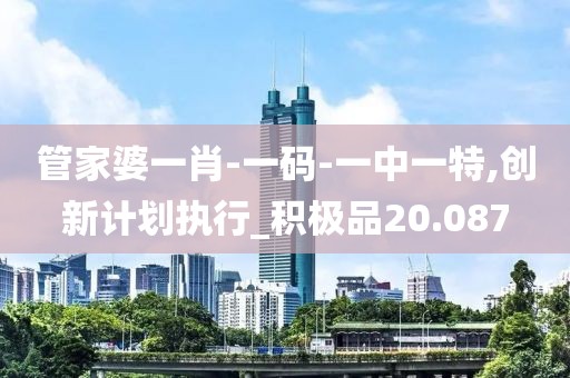 管家婆一肖-一碼-一中一特,創新計劃執行_積極品20.087