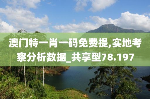 澳門特一肖一碼免費提,實地考察分析數據_共享型78.197