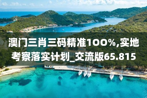 澳門三肖三碼精準1OO%,實地考察落實計劃_交流版65.815