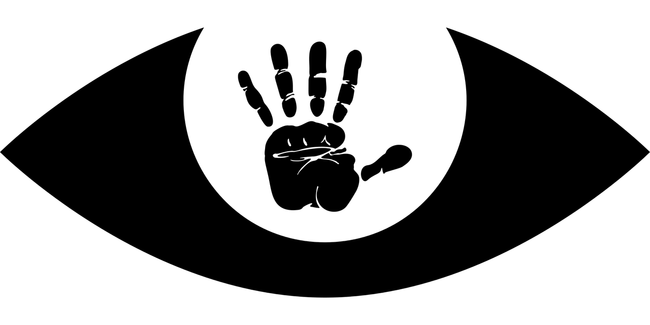 寨卡病毒最新動態更新