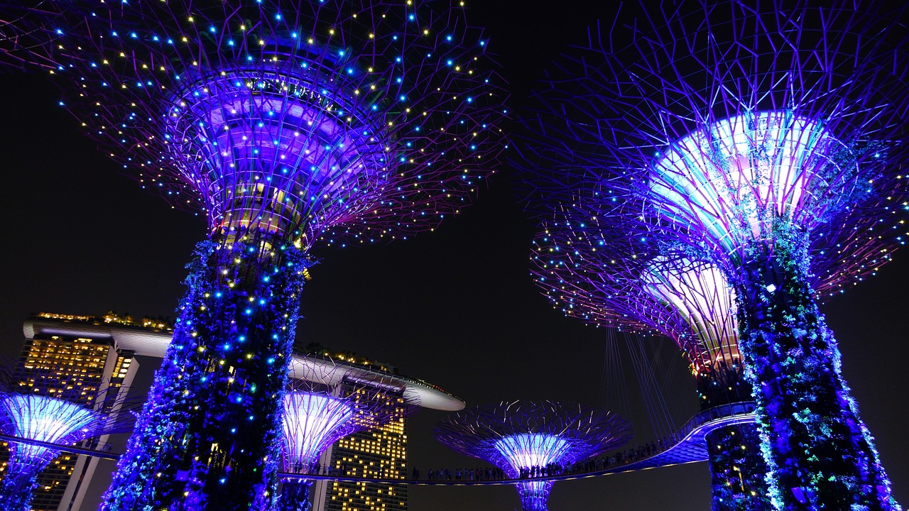 2024天天彩正版資料大全-先鋒版：引領未來科技潮流的創新先鋒