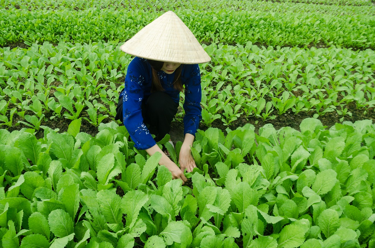 真凌寒 第5頁
